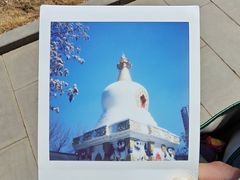 -护国法轮寺