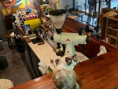 -咖法森林·咖啡  酒吧(天河店)