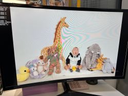 -大连棒棒糖儿童摄影(熊洞街店)