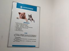 -派美特宠物医院·核磁CT·骨科肿瘤·疑难转诊(沈农禾丰店)