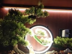 -聆耳·采耳·按摩·SPA(会展中心店)