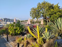 -Brew Farm·精酿农场海滨悬崖餐厅