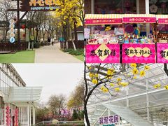 -盈香心动乐园