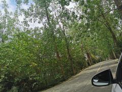 -白鹭湾湿地公园