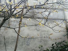 -吴门人家·苏宴宫廷菜(拙政园店)
