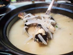 黄骨鱼焖豆腐-鹭岛新泉客家菜·海鲜·融合菜(莲前店)