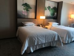 -上海嘉定喜来登酒店