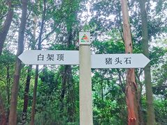 -火炉山森林公园