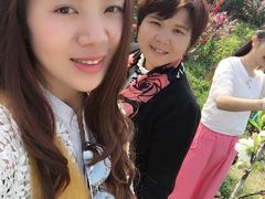 -南汇桃花村