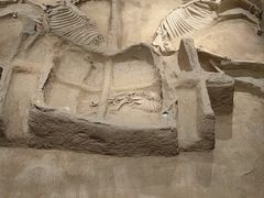 -洛阳周王城天子驾六博物馆