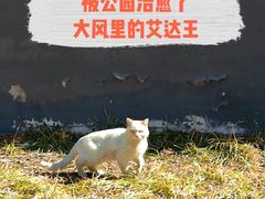 -西海子公园