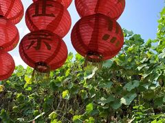 -姥家大锅台水库渔家