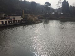 -天目湖涵田半山温泉