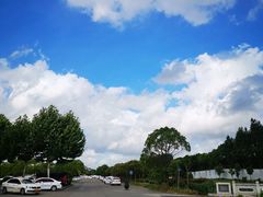 -胜华驾校·小猫学车(银都店)