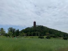 -红花山公园