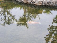 -厦门园林博览苑