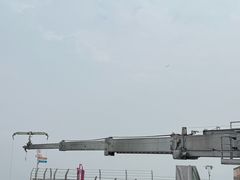 -WFC会仙楼观景台