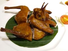 红烧乳鸽-東海海鲜酒家(中信广场店)