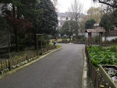 -郫都区农科村景区
