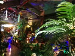 -恐龙探索乐园(磁器口店)