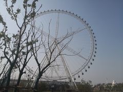 -祥源·阜阳生态乐园