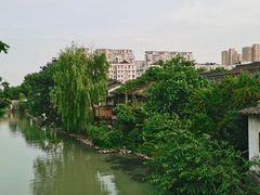 -运河游船(武林门码头)