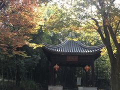 -穹窿山景区
