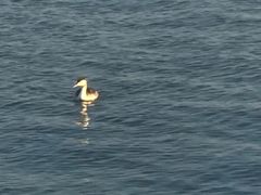 -苏州太湖湖滨国家湿地公园