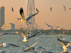 -蠡湖大桥公园