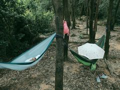 -火炉山森林公园