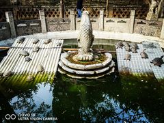 -西安大兴善寺