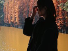 -三水森林公园