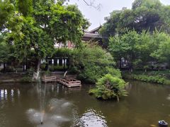 -桂湖森林公园