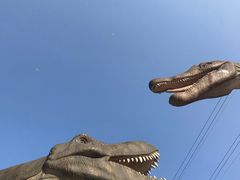 -梦幻奥陶纪景区