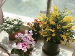 -双季花艺园艺市场(浦东店)