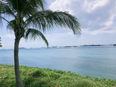 -巴拉湾海滩