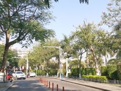 -阿桃甘蔗汁