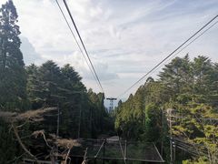 -神户市立六甲山牧场