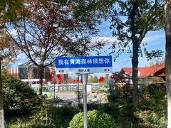 -黄海国家森林公园