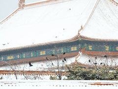 -故宫博物院(故宫)