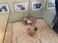 -宁波九龙湖开元度假村