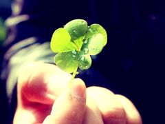 psb-上海佘山国家森林公园西佘山园