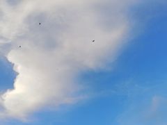 -人民防洪胜利纪念塔