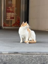 点击看大图 -上海玫瑰医疗美容医院