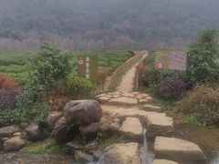 -中国茶叶博物馆(双峰馆区)