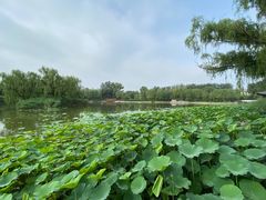 -护国寺小吃(安定门店)