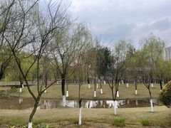 -沐仙湖湿地公园