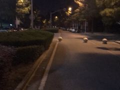 -同济大学(嘉定校区)