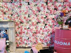 -百好乐宠物友好餐厅(朝外大街店)