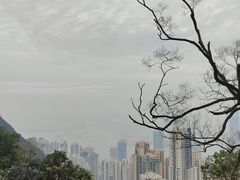 -太平山顶